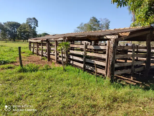 Foto 5 de Chácara com 3 Quartos à venda, 33000m² em Zona Rural, Terenos