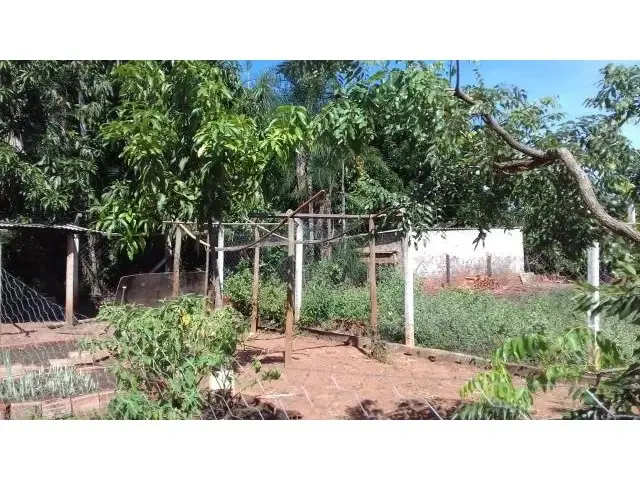 Foto 2 de Chácara com 2 Quartos à venda, 2000m² em Area Rural de Uberlandia, Uberlândia