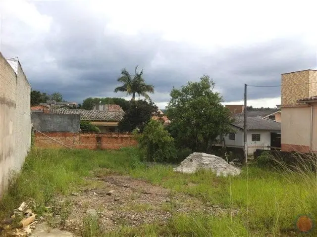 Foto 4 de Lote/Terreno à venda, 492m² em Mina do Mato, Criciúma