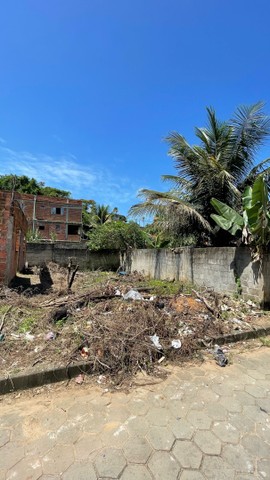 Foto 4 de Lote/Terreno à venda, 75m² em Porto Novo, Cariacica