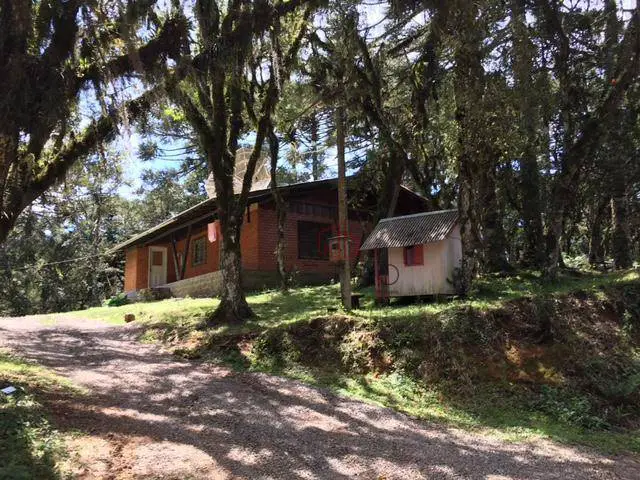 Foto 4 de Casa com 4 Quartos à venda, 120m² em Barragem Do Salto, São Francisco de Paula