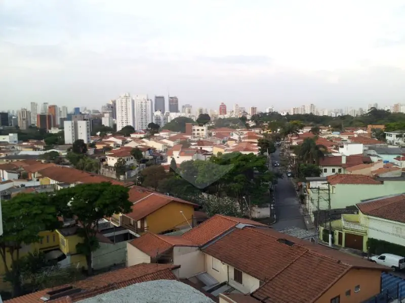 Foto 3 de Apartamento com 2 Quartos à venda, 90m² em Chácara Santo Antônio, São Paulo
