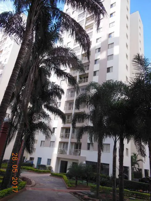 Foto 1 de Apartamento com 3 Quartos para alugar, 70m² em Morumbi, São Paulo