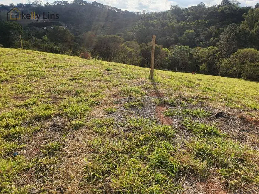 Foto 1 de Lote/Terreno à venda, 3200m² em Zona Rural, Pinhalzinho