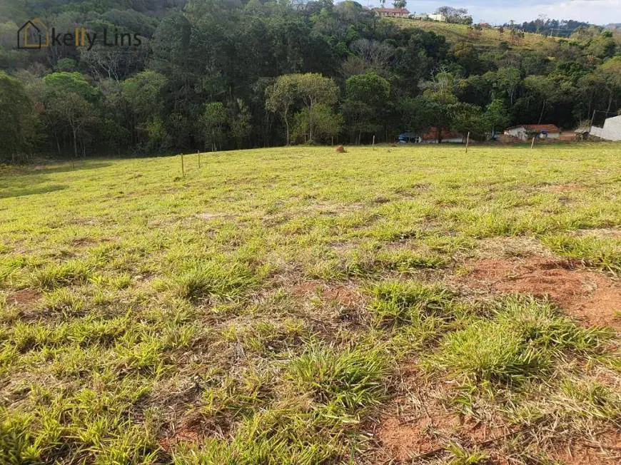 Foto 3 de Lote/Terreno à venda, 3200m² em Zona Rural, Pinhalzinho