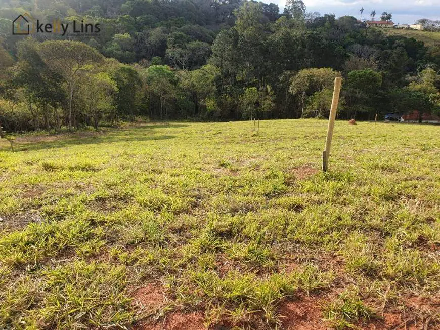 Foto 4 de Lote/Terreno à venda, 3200m² em Zona Rural, Pinhalzinho