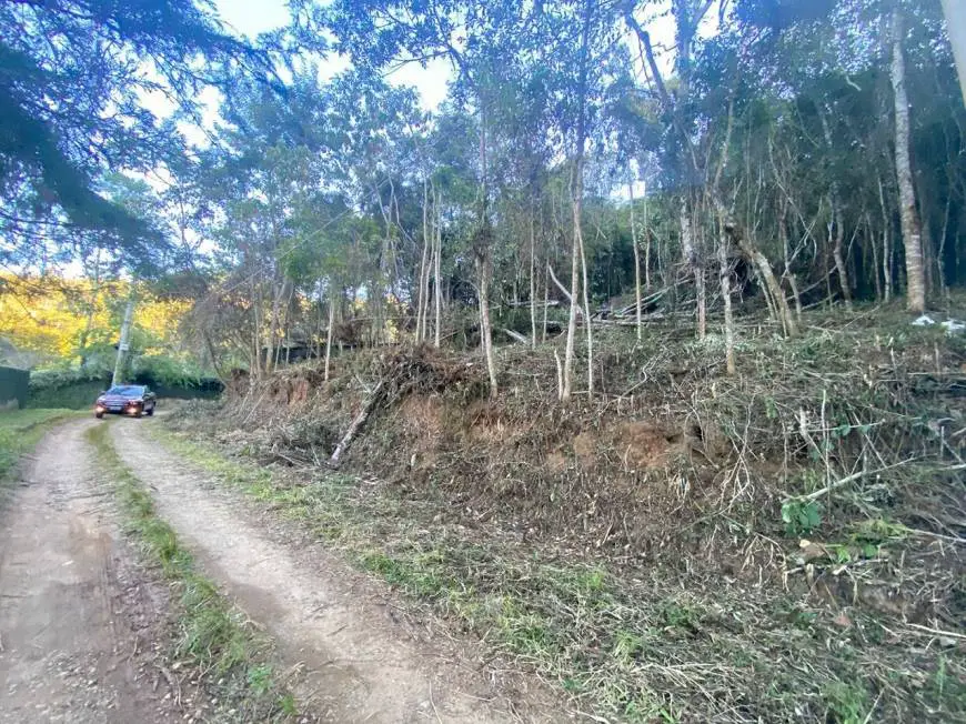 Foto 1 de Lote/Terreno à venda, 3308m² em Fazenda Bela Vista, Nova Friburgo