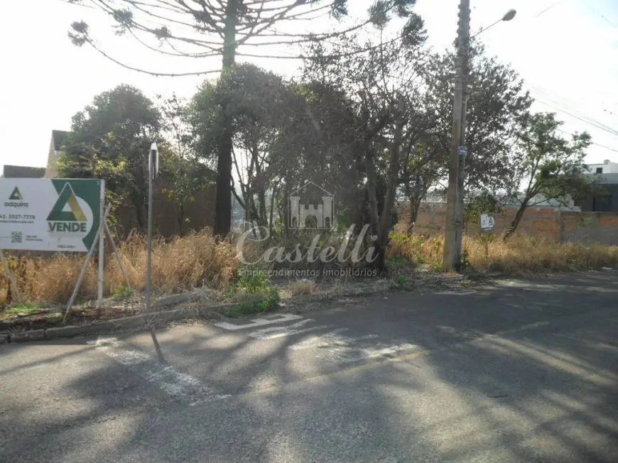 Foto 2 de Lote/Terreno à venda, 579m² em Estrela, Ponta Grossa