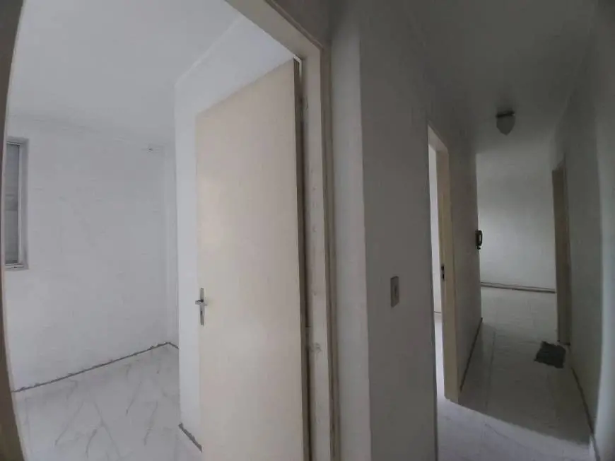 Foto 5 de Apartamento com 2 Quartos para alugar, 56m² em Parque das Paineiras, São Paulo