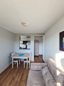 Foto 4 de Apartamento com 2 Quartos para alugar, 45m² em Parque Munhoz, São Paulo