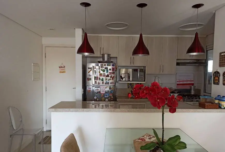 Foto 3 de Apartamento com 3 Quartos à venda, 72m² em Cursino, São Paulo