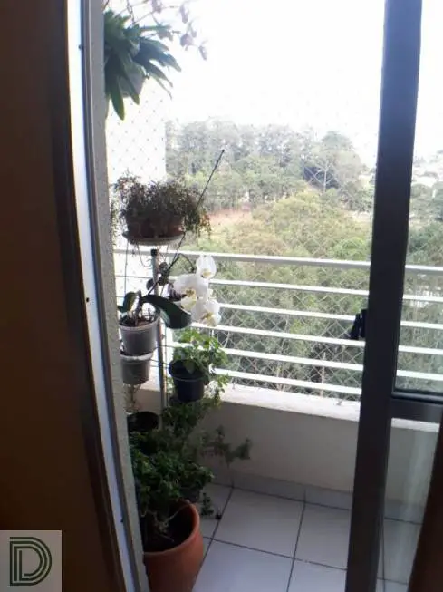Foto 5 de Apartamento com 3 Quartos à venda, 53m² em Jardim Monte Alegre, São Paulo