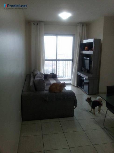 Foto 2 de Apartamento com 3 Quartos à venda, 65m² em Limão, São Paulo
