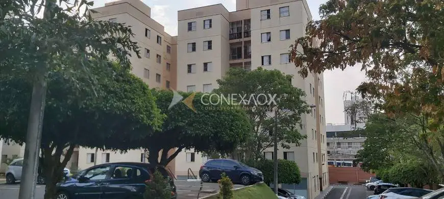 Foto 1 de Apartamento com 3 Quartos para venda ou aluguel, 70m² em Vila São Bento, Campinas