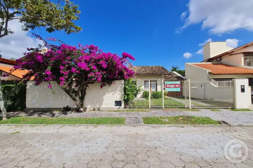 Foto 1 de Casa com 3 Quartos para alugar, 233m² em Córrego Grande, Florianópolis