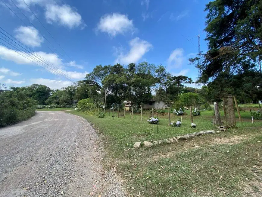 Foto 4 de Chácara com 2 Quartos à venda, 30000m² em Contenda, São José dos Pinhais