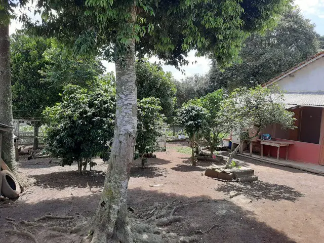 Foto 4 de Chácara com 3 Quartos à venda, 2240m² em Nações, Fazenda Rio Grande