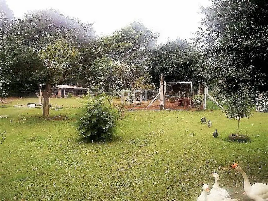 Foto 4 de Chácara com 5 Quartos à venda, 220000m² em Itapua, Viamão