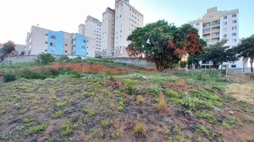 Foto 1 de Lote/Terreno para alugar, 420m² em Castelo, Belo Horizonte