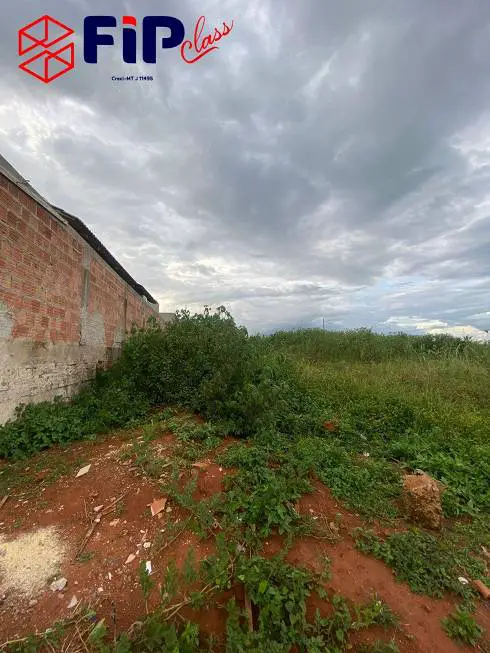 Foto 1 de Lote/Terreno à venda, 375m² em Centro Sul, Sorriso