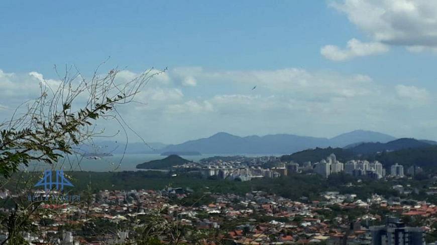Foto 4 de Lote/Terreno à venda, 507m² em Córrego Grande, Florianópolis