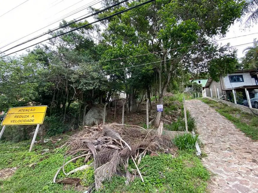 Foto 2 de Lote/Terreno à venda, 800m² em Morro das Pedras, Florianópolis