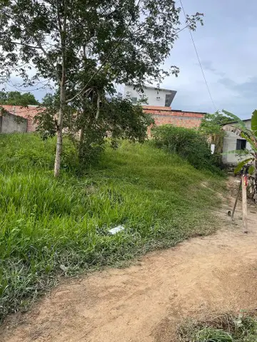 Foto 1 de Lote/Terreno à venda, 300m² em Novo Aleixo, Manaus