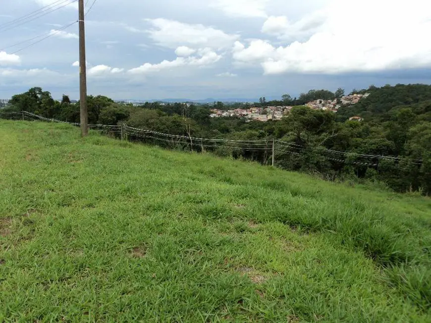 Foto 5 de Lote/Terreno à venda, 10000m² em Quinta dos Angicos, Cotia