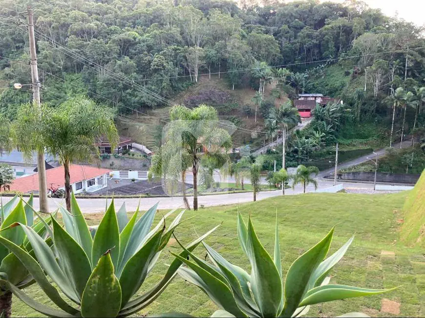 Foto 1 de Lote/Terreno à venda, 247m² em São Pedro, Brusque