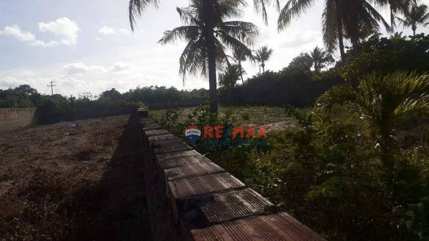 Foto 5 de Lote/Terreno à venda, 1600m² em , Tibau do Sul