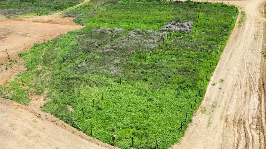 Foto 2 de Lote/Terreno à venda, 600m² em Verava, Ibiúna