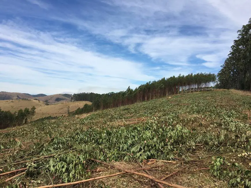 Foto 5 de Lote/Terreno à venda, 1000m² em Vila Satúrnia, Campinas