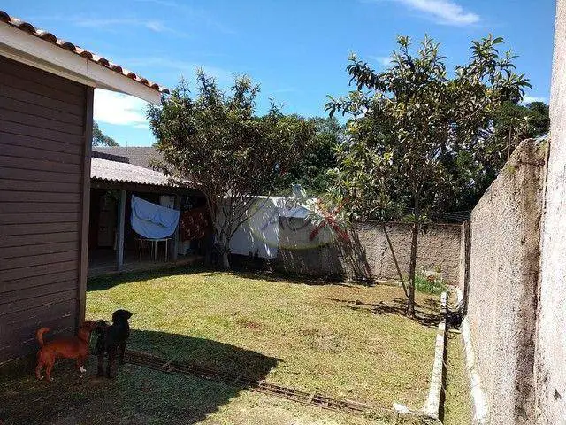 Foto 5 de Lote/Terreno à venda, 390m² em Vista Alegre, Curitiba