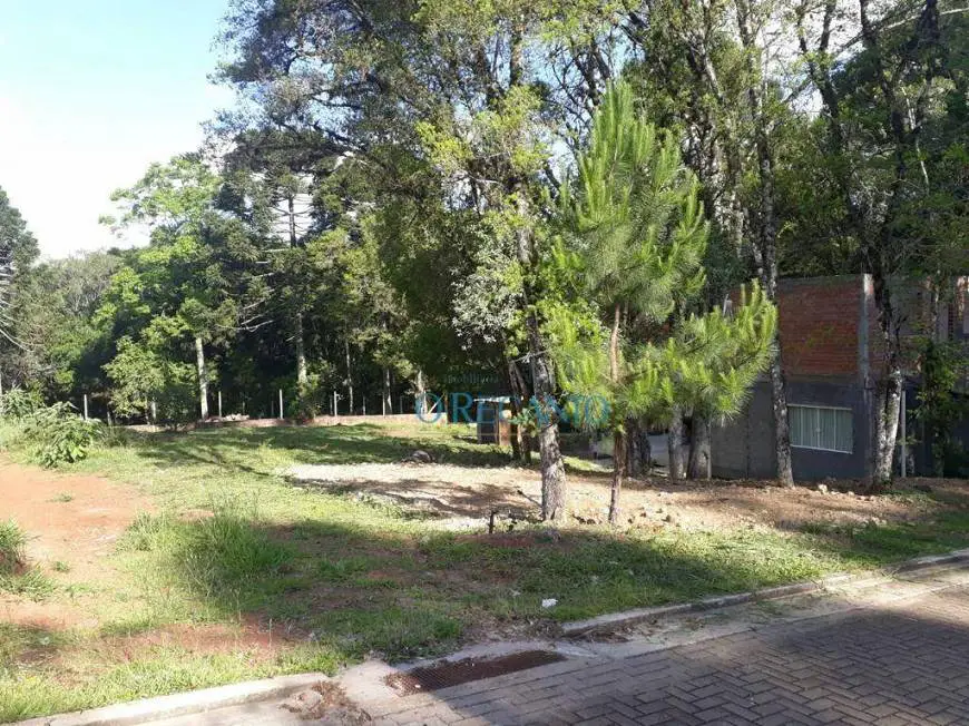 Foto 3 de Lote/Terreno à venda, 420m² em Vivendas do Arvoredo, Gramado