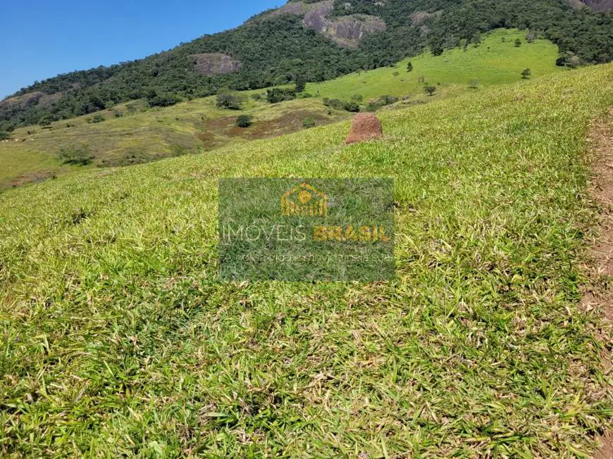 Foto 4 de Lote/Terreno à venda, 20000m² em Zona Rural, Paraisópolis