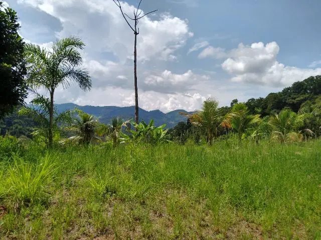 Foto 5 de Lote/Terreno à venda, 8000m² em Zona Rural, Rio Grande