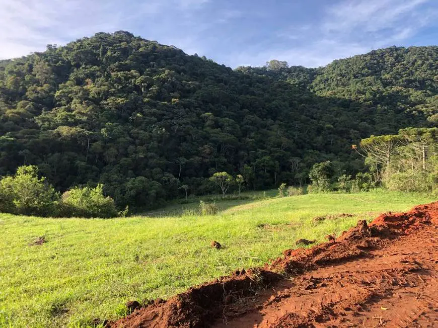 Foto 1 de Lote/Terreno à venda, 24200m² em Zona Rural, Santo Antônio do Pinhal
