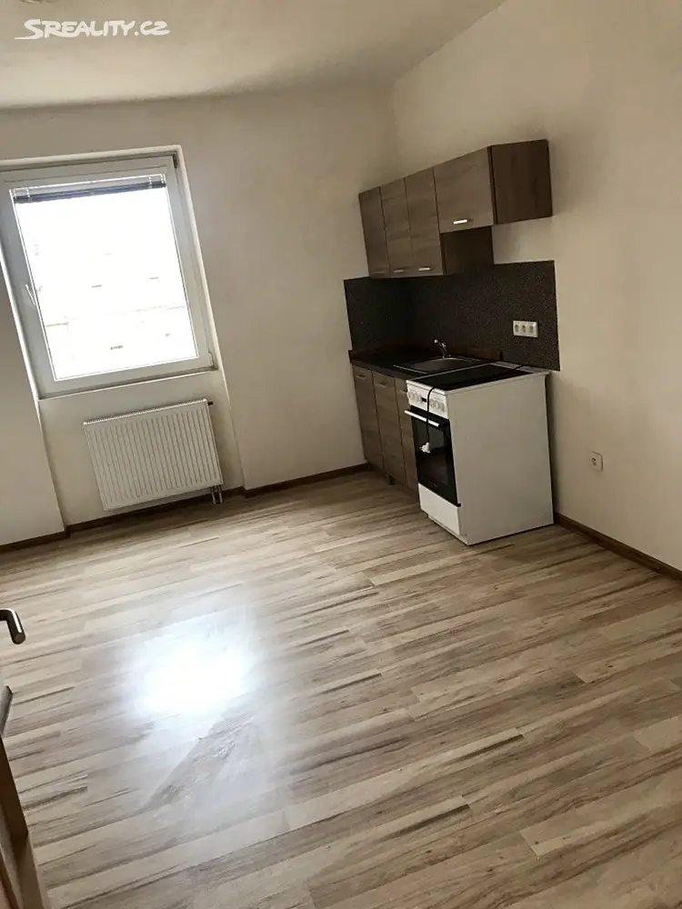 Pronájem bytu 1+1 40 m² (Podkrovní), Duchcov, okres Teplice