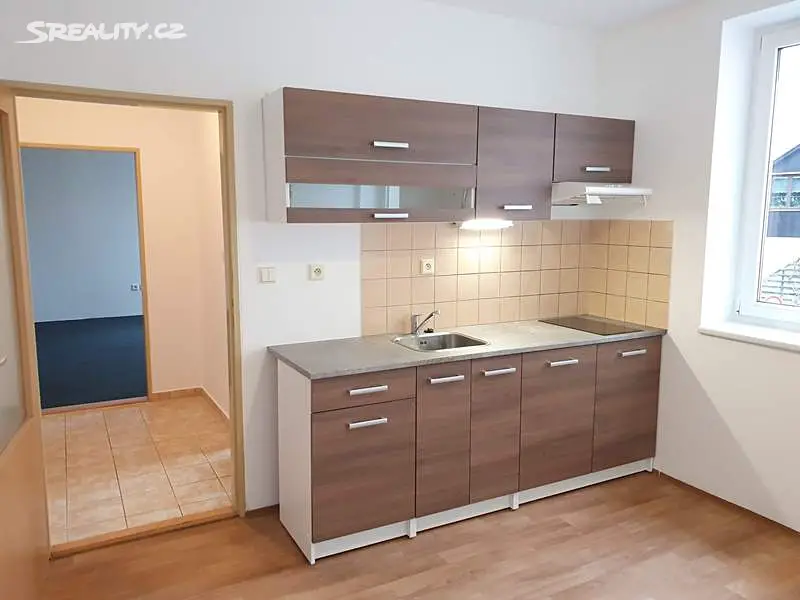 Pronájem bytu 1+1 36 m², Horní Hejčínská, Olomouc - Hejčín