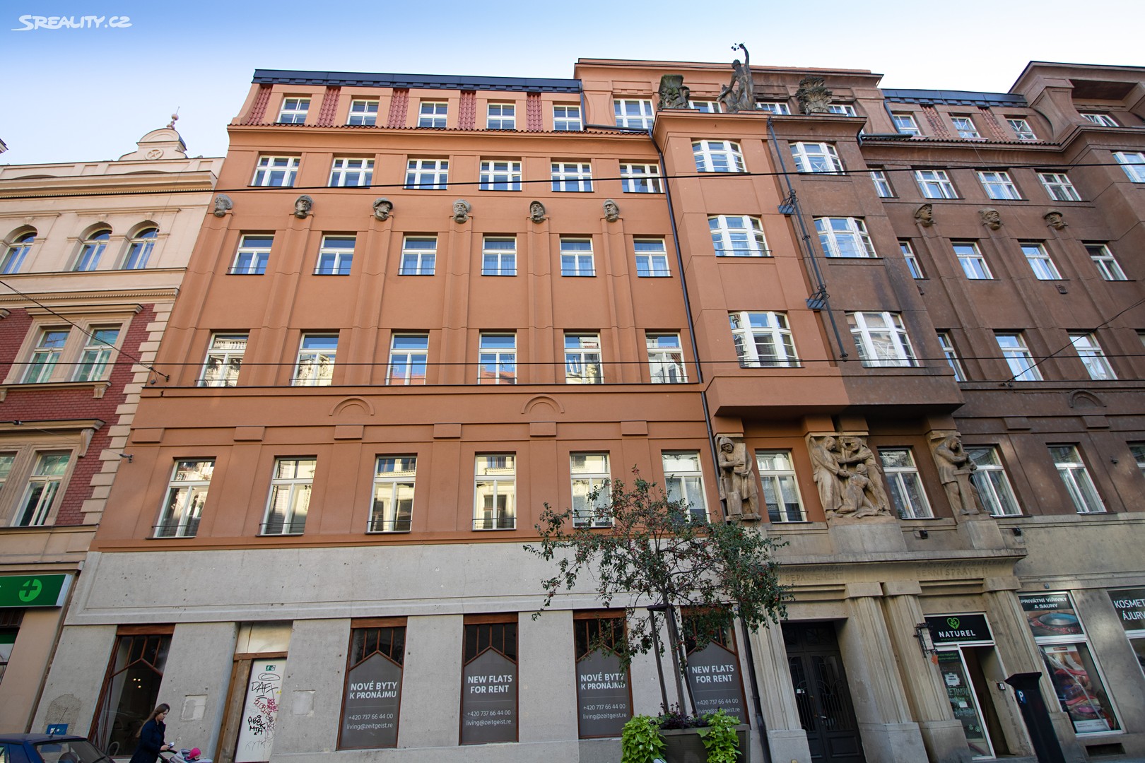 Pronájem bytu 1+1 50 m² (Loft), Myslíkova, Praha 2 - Nové Město