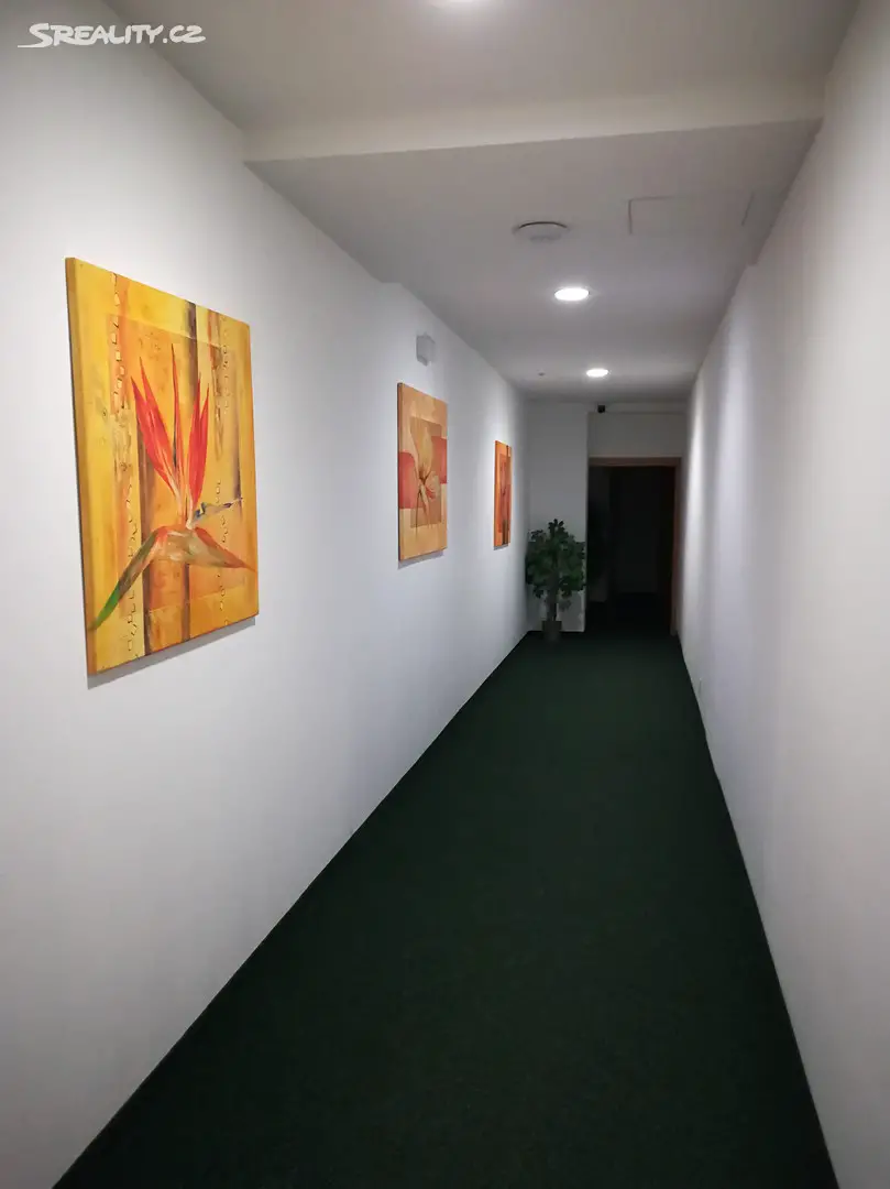 Pronájem bytu 1+kk 40 m², Masarykovo náměstí, Brandýs nad Labem-Stará Boleslav - Brandýs nad Labem