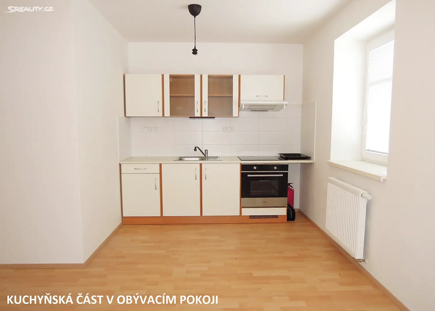 Pronájem bytu 2+1 55 m², Gorkého, Brno - Veveří