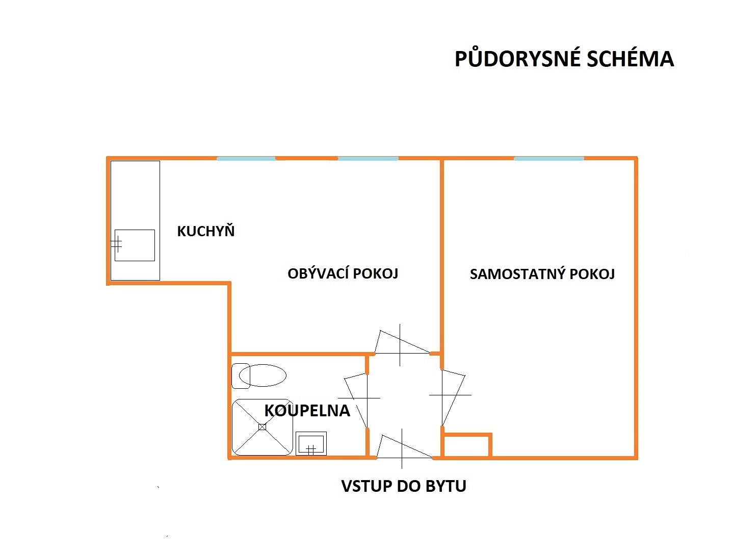 Pronájem bytu 2+1 55 m², Gorkého, Brno - Veveří