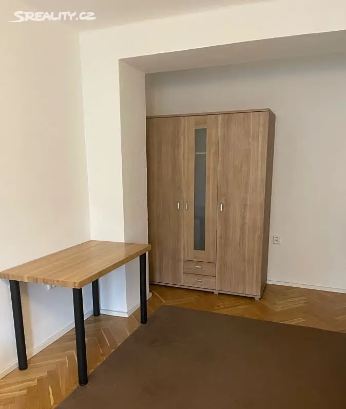 Pronájem bytu 2+1 54 m², V jezerách, Praha 3 - Žižkov