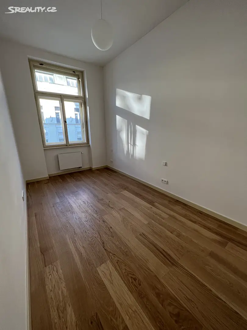Pronájem bytu 4+kk 104 m², U Půjčovny, Praha 1 - Nové Město