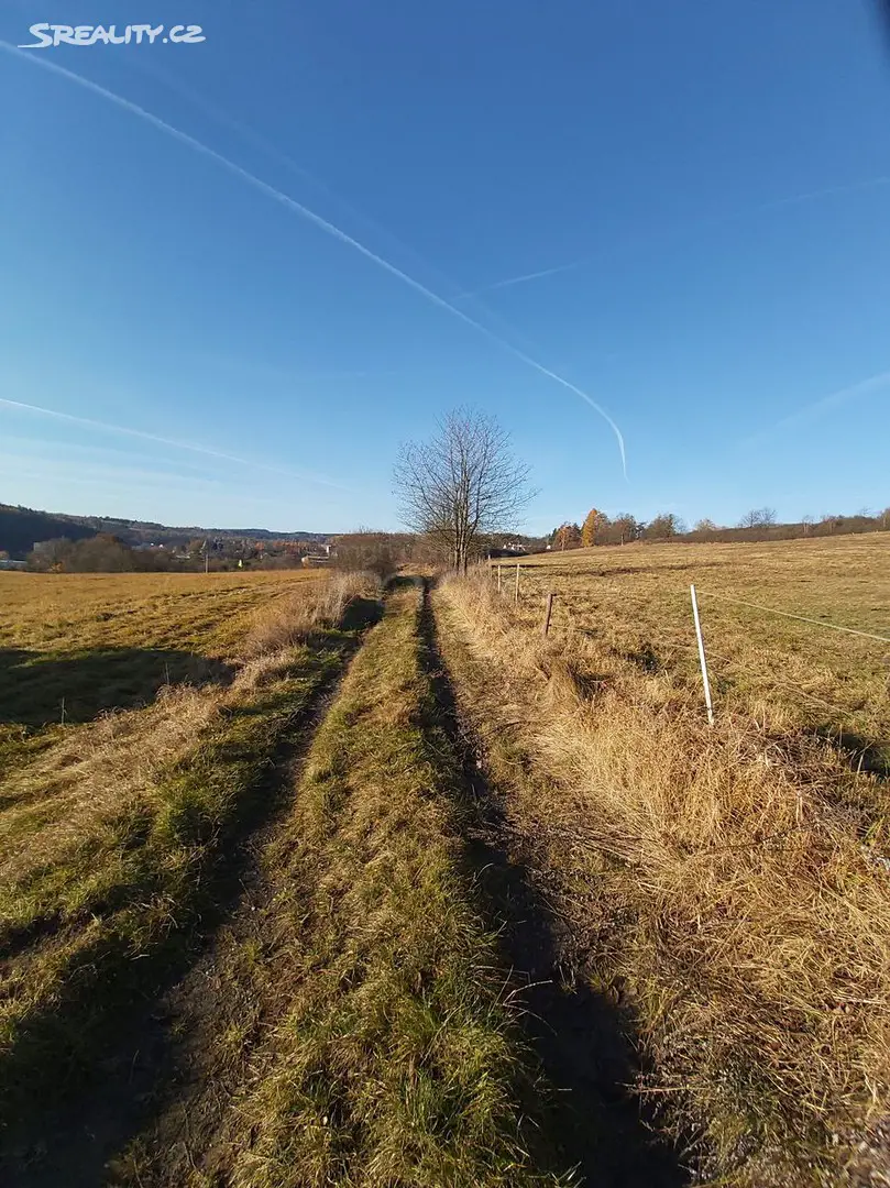 Prodej  chaty 280 m², pozemek 2 523 m², Žlutice, okres Karlovy Vary