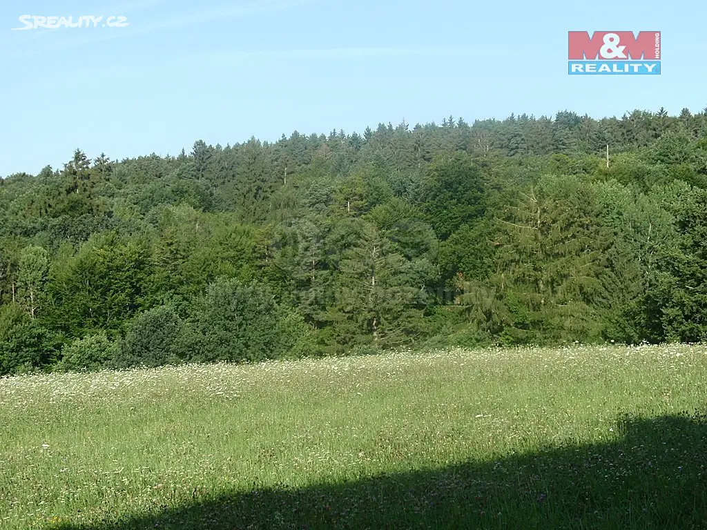 Prodej  lesa 2 608 m², Černovice - Benešov, okres Pelhřimov