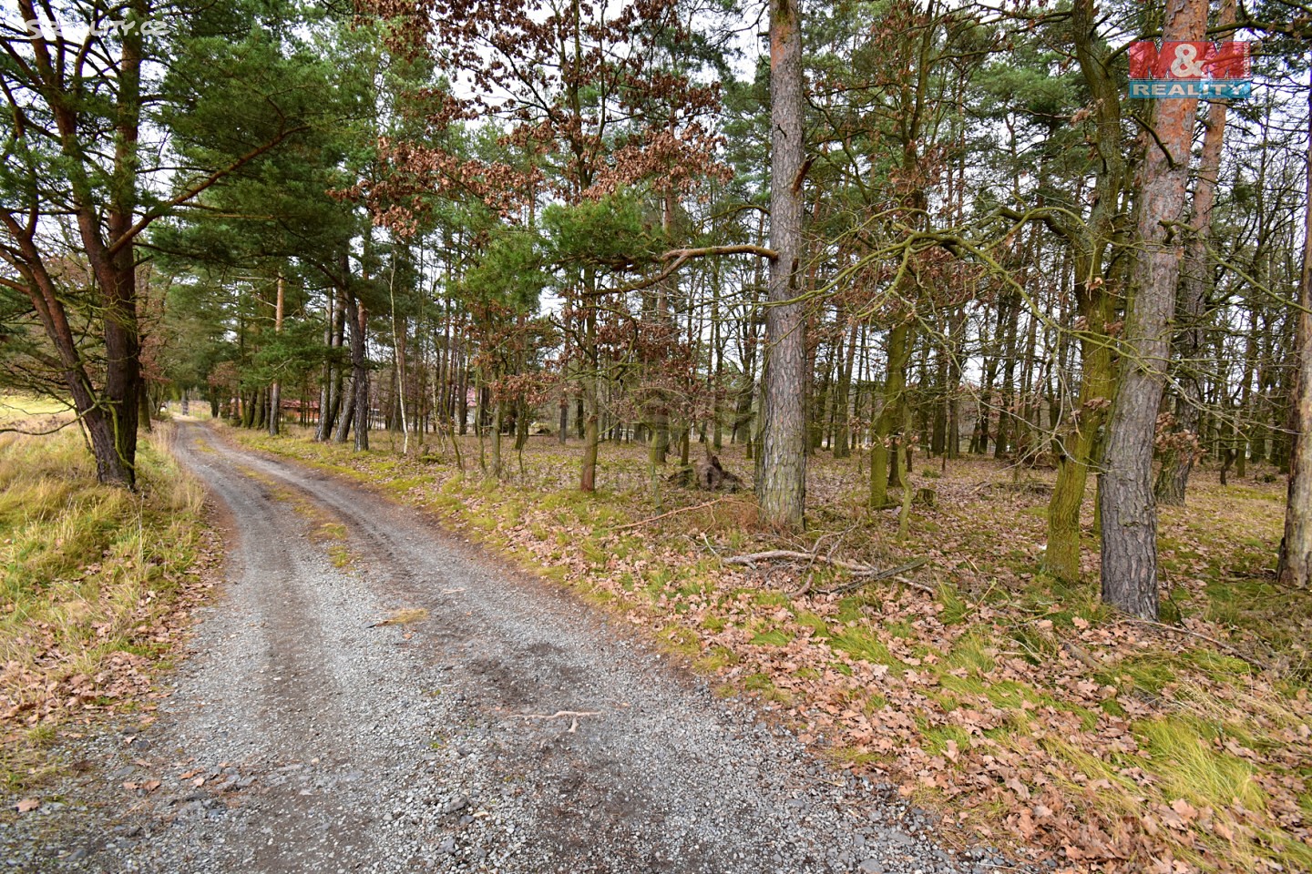 Prodej  louky 4 614 m², Zákupy, okres Česká Lípa