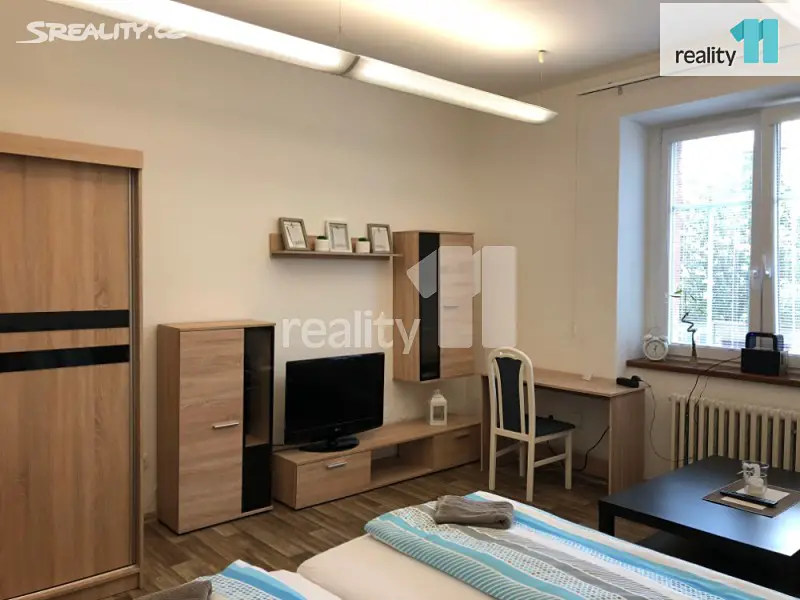 Pronájem bytu 1+1 41 m², Stará, Ústí nad Labem - Ústí nad Labem-centrum