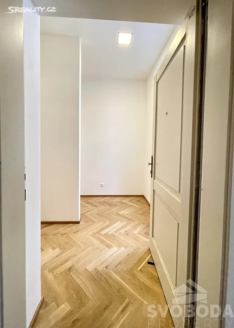 Pronájem bytu 1+kk 41 m², Myslíkova, Praha 2 - Nové Město